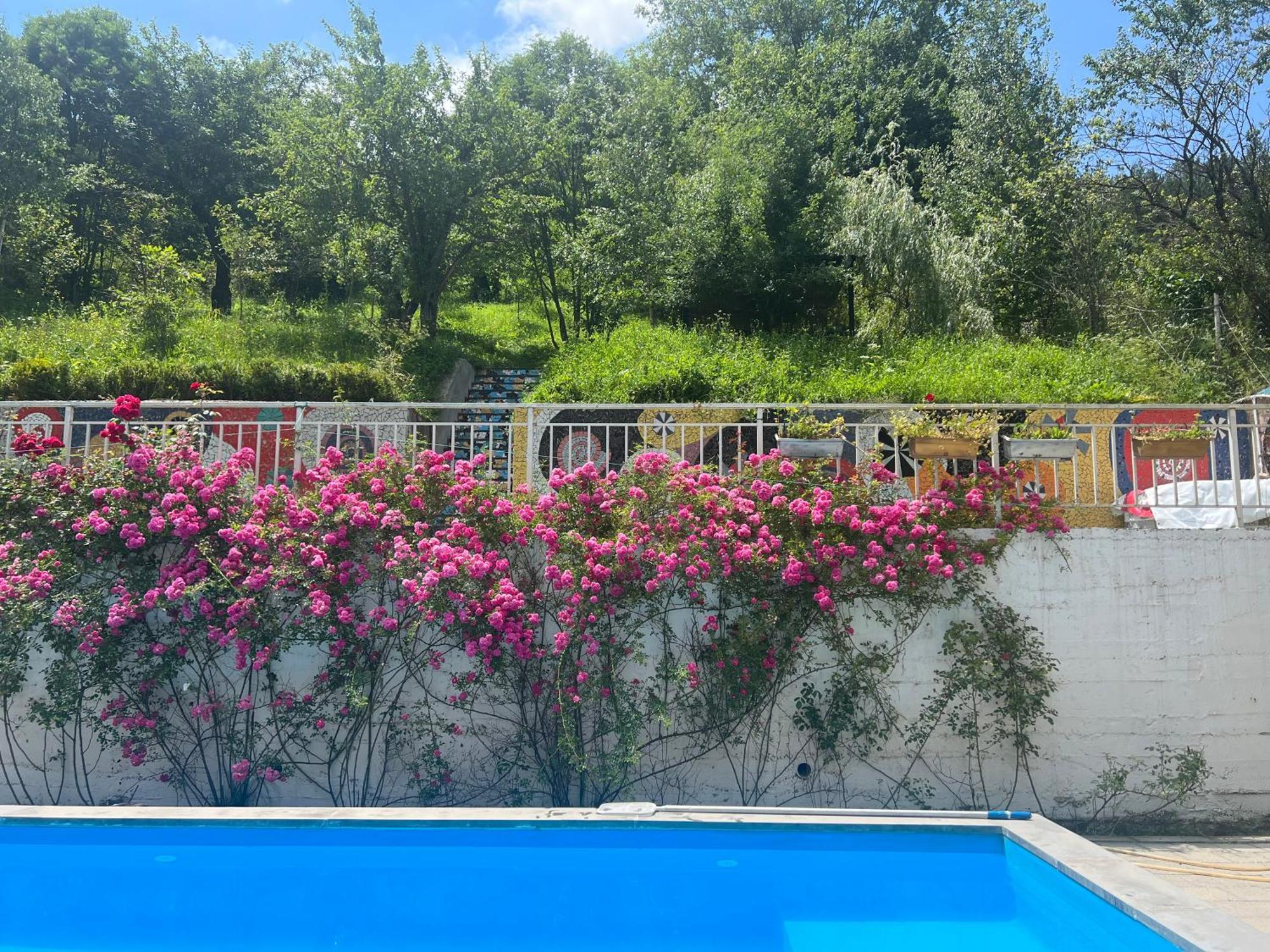 Dilijan Duplex Villa Ngoại thất bức ảnh
