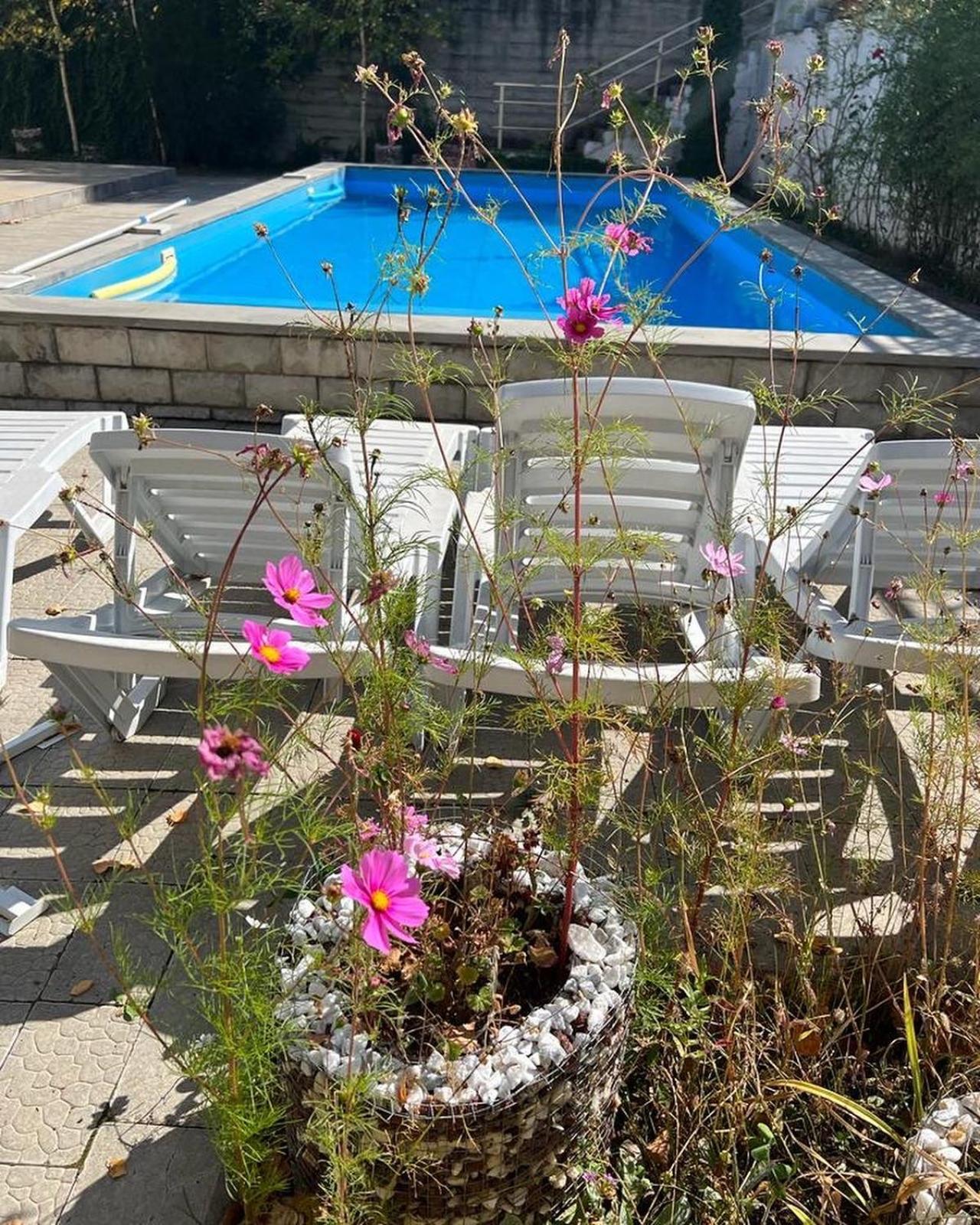 Dilijan Duplex Villa Ngoại thất bức ảnh