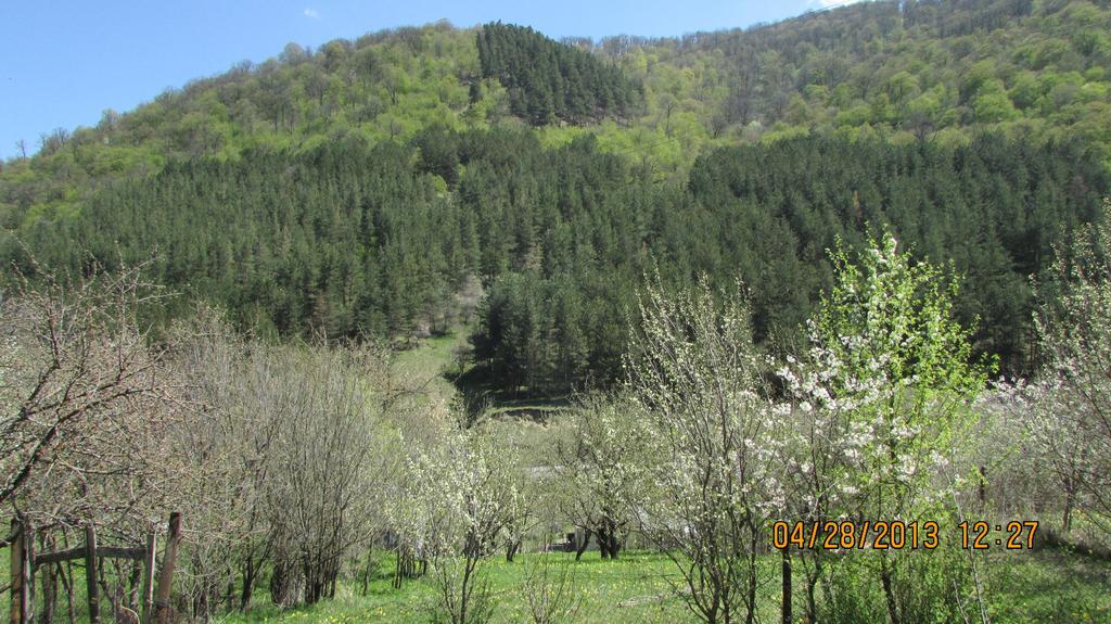 Dilijan Duplex Villa Ngoại thất bức ảnh